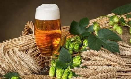 精釀啤酒中，如何選擇恰當?shù)慕湻椒ǎ?> </a>
    </dt> 
    <dd> 
     <h4><a href=