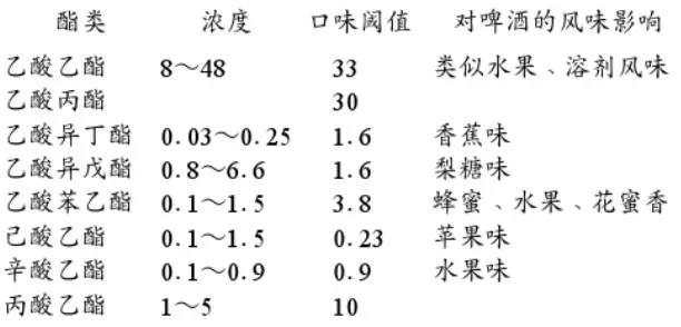 精釀啤酒設(shè)備,啤酒廠設(shè)備,開辦啤酒廠,發(fā)酵，錐形罐